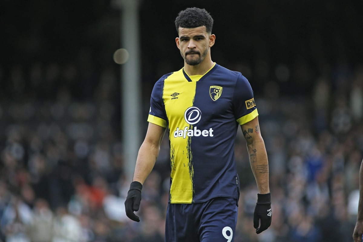 Dominic Solanke